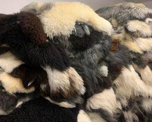 Sheepskins - Natural sheepskin - eco-sheepskins-adam-leather