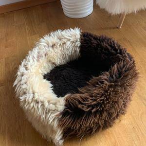 Sheepskins - Cat beds & cat basket - 33491676224481966086914531438229989250255300n