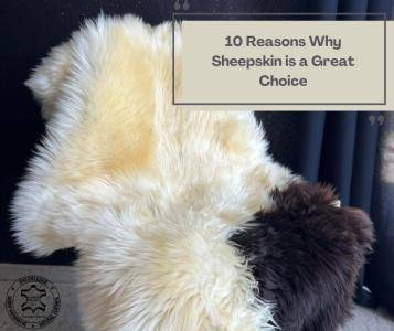 Sheepskins - 10 Reasons Why Sheepskin is a Great Choice