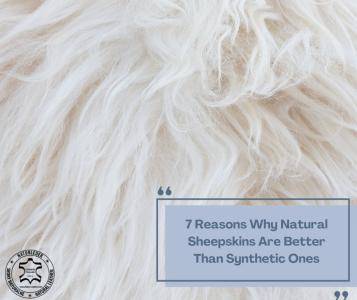 Sheepskins - 7 Reasons Why Natural Sheepskins Are Better Than Synthetic Ones