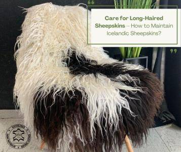 Sheepskins - Care for Long-Haired Sheepskins – How to Maintain Icelandic Sheepskins?