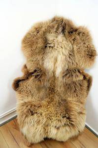 Sheepskins - Our Holland sheepskins 