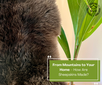 Sheepskins - From Mountains to Your Home – How Are Sheepskins Made?