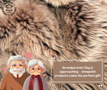 Sheepskins - Grandparents' Day is approaching – sheepskin products make the perfect gift