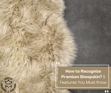 Sheepskins - How to Recognize Premium Sheepskin? 5 Features You Must Know
