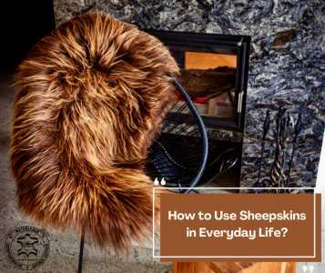 Sheepskins - How to Use Sheepskins in Everyday Life?