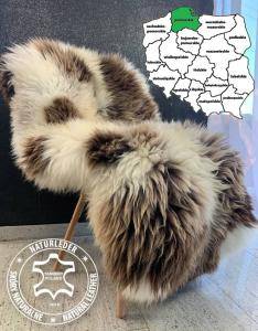 Sheepskins - Sheepskins Sopot - Tannery, Pomeranian Voivodeship, Poland