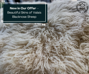 Sheepskins - New in Our Offer – Beautiful Skins of Valais Blacknose Sheep