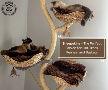 Sheepskins - Sheepskins – The Perfect Choice for Cat Trees, Kennels, and Baskets