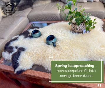 Sheepskins - Spring is approaching – how sheepskins fit into spring decorations