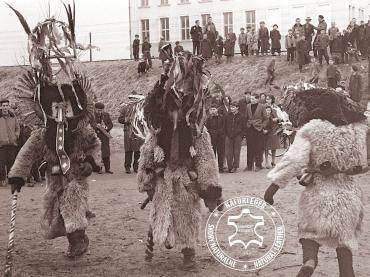 Sheepskins - Long-haired sheepskins for costumes - "Kurentovanje" festival