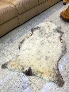 Natural polish sheepskins (1) 